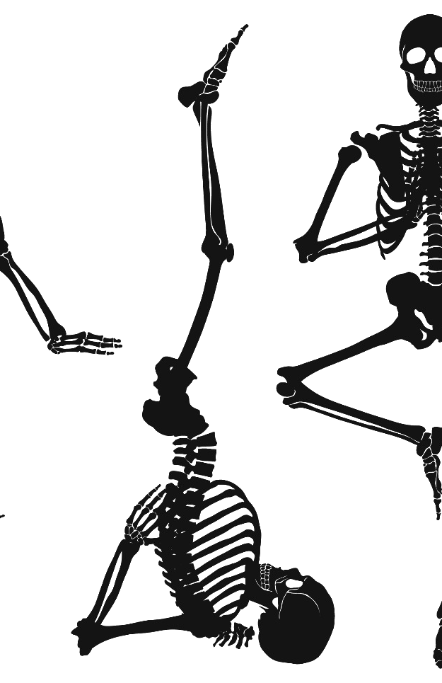 Skelett Illustration Bogen-Haltung