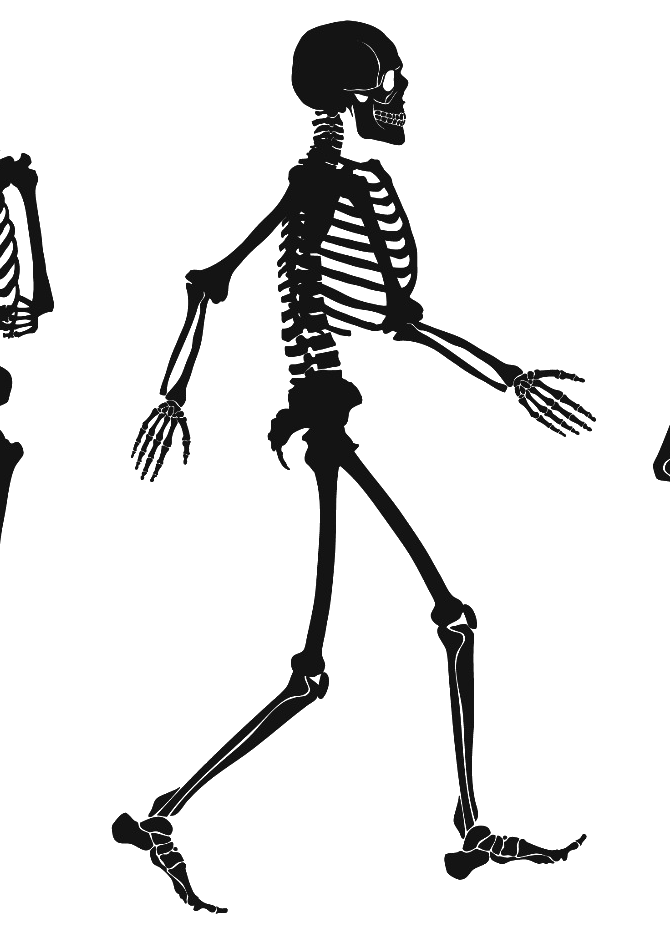 Chiropraktiker:in oder Osteopath:in mit echter Begeisterung.